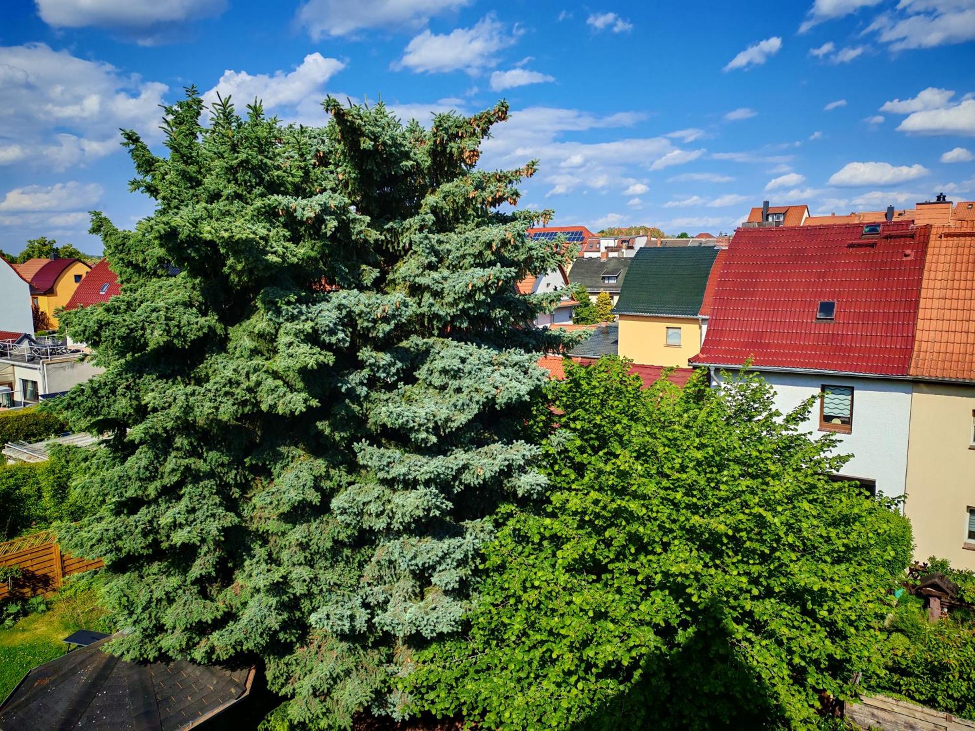 Domstadt Apartments Мерзебурґ Екстер'єр фото